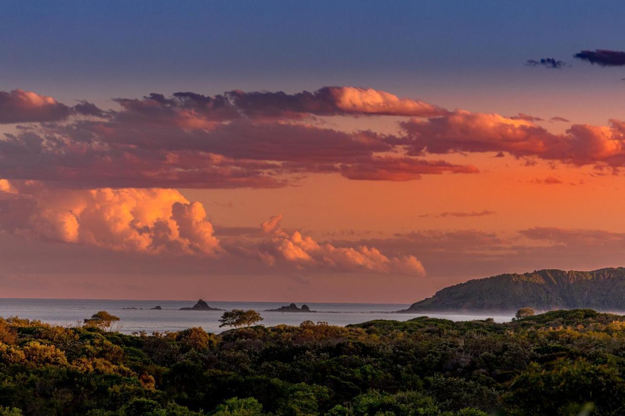 Aparthotel The Oasis And Treetop Byron Bay
